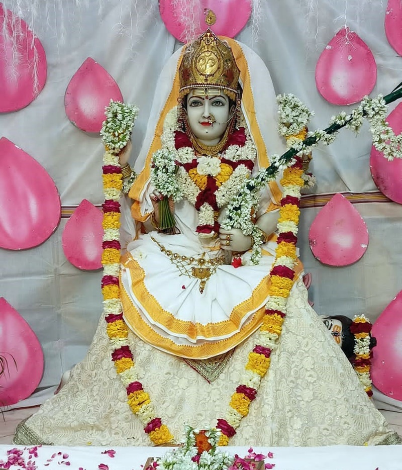 naidunia_image